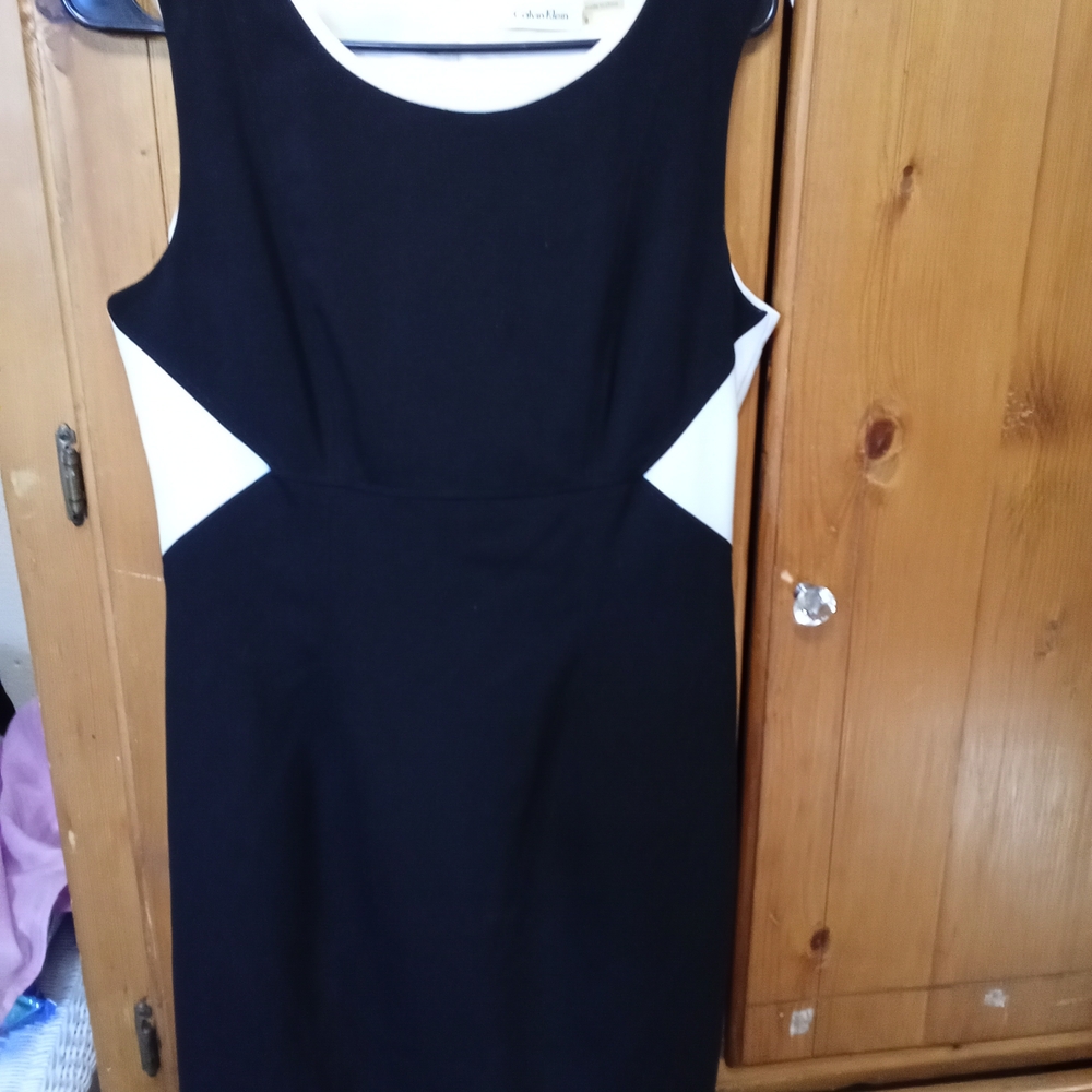 Calvin Klein Black and White Mini Dress